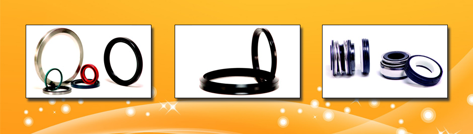 Hydraulic & Pneumatic Seals