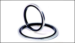 Bonded Seals / Dowty Seals