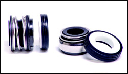 Mechanical Seals
