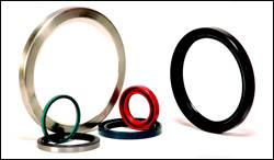 Oil Seal

