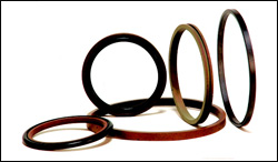 Piston Composite Seals